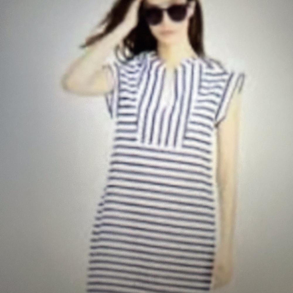 J. Crew Blue & White Stripe Dress.